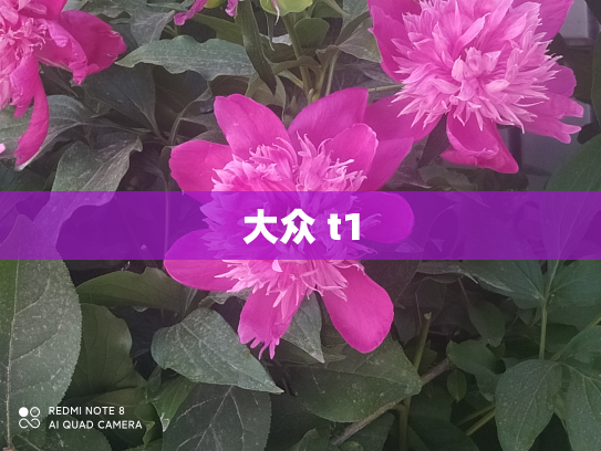 大众 t1