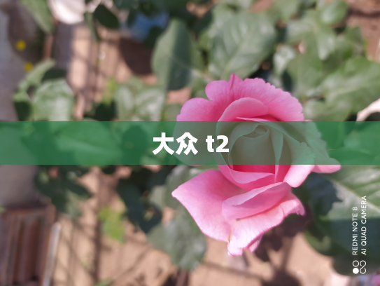 大众 t2