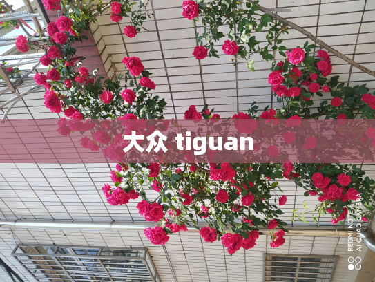 大众 tiguan