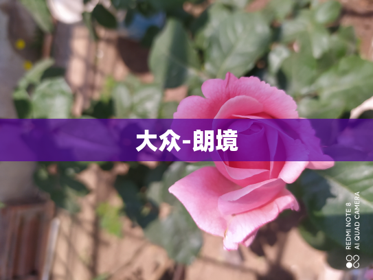 大众-朗境