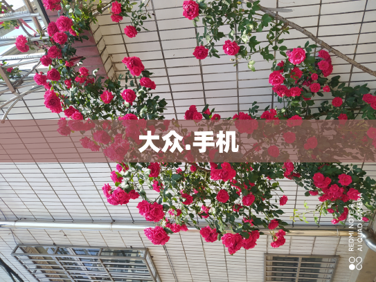 大众.手机