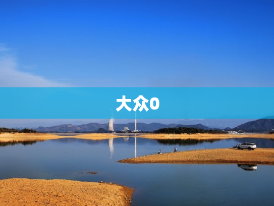 大众0