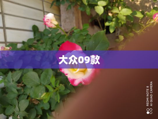 大众09款