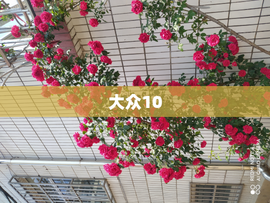 大众10
