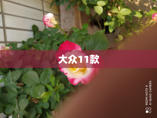 大众11款