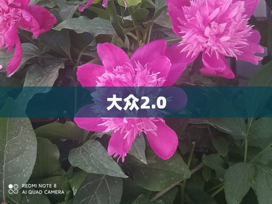 大众2.0