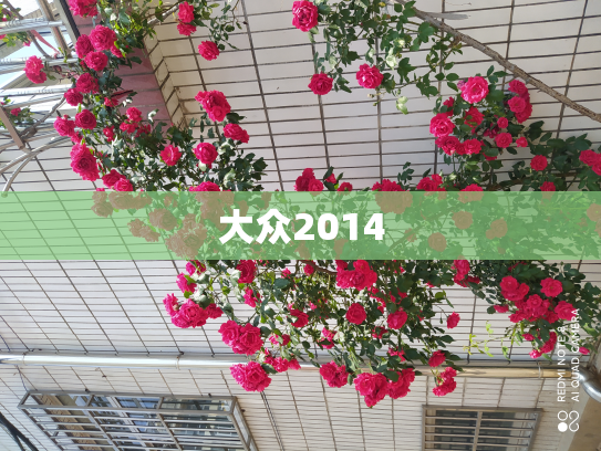 大众2014