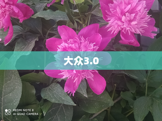 大众3.0