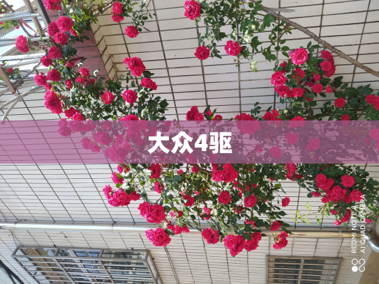 大众4驱