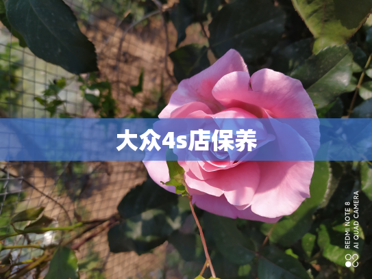 大众4s店保养