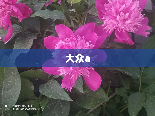 大众a