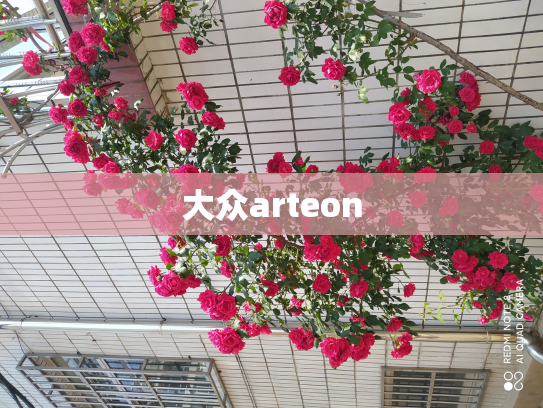 大众arteon