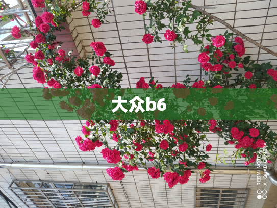 大众b6