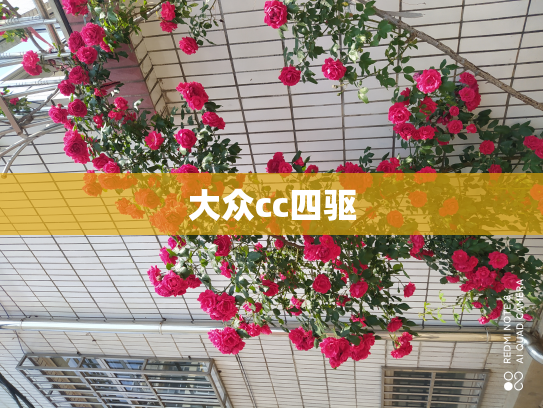 大众cc四驱