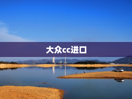 大众cc进口