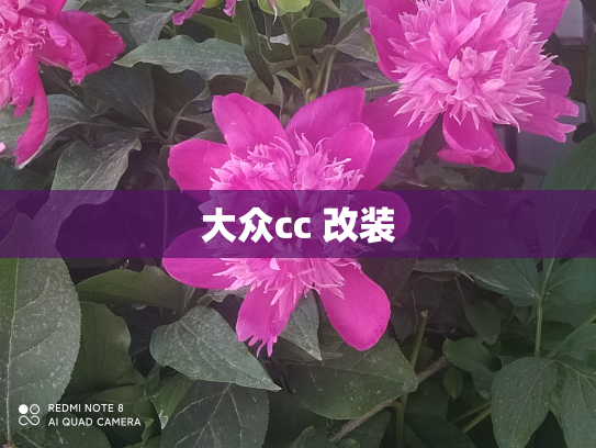 大众cc 改装