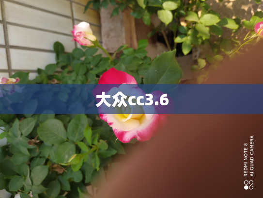 大众cc3.6
