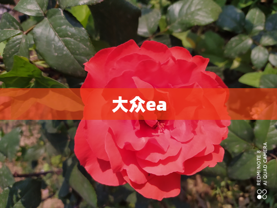 大众ea