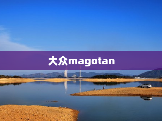 大众magotan