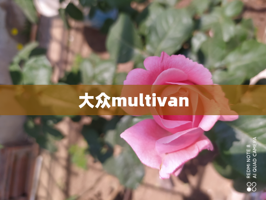 大众multivan