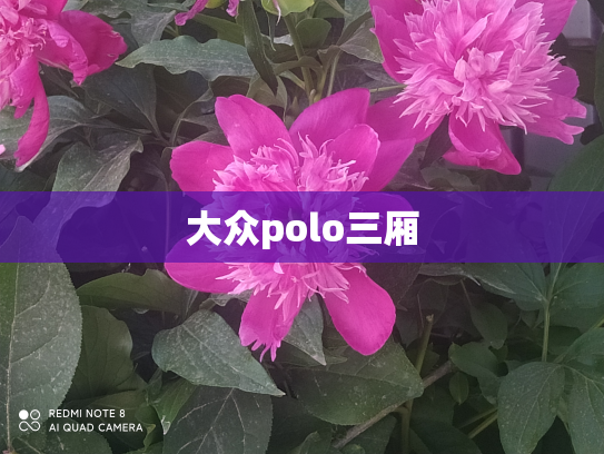 大众polo三厢