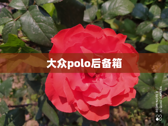 大众polo后备箱