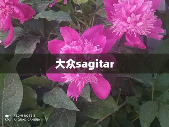 大众sagitar