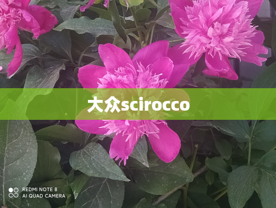 大众scirocco