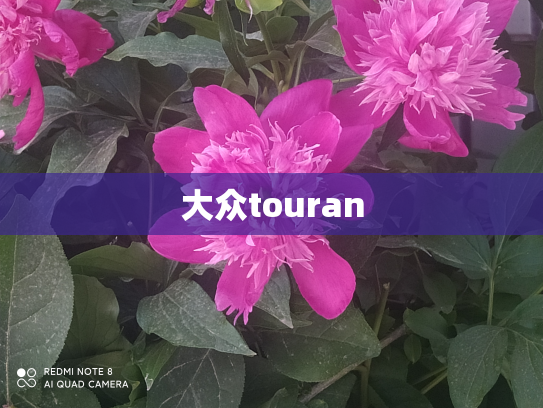 大众touran