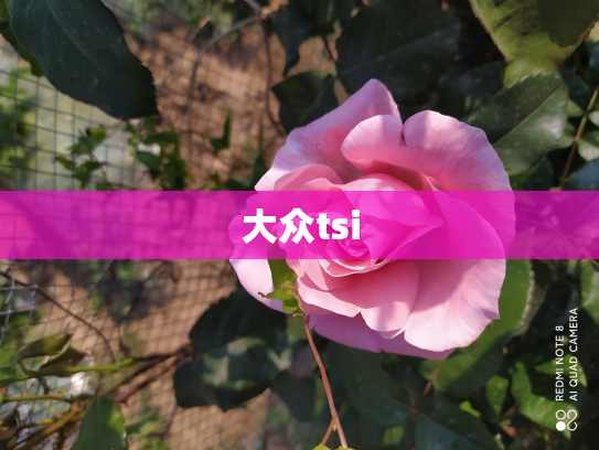 大众tsi