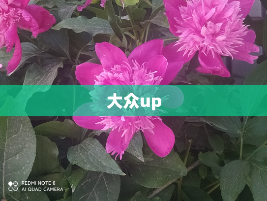 大众up