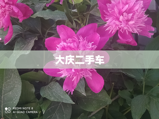 大庆二手车