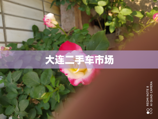 大连二手车市场