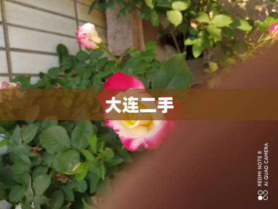 大连二手