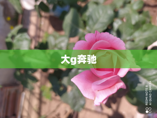 大g奔驰