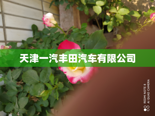 天津一汽丰田汽车有限公司