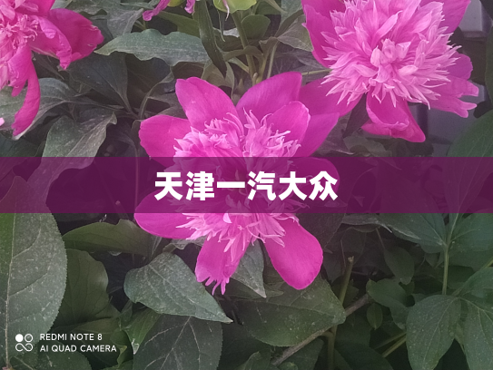 天津一汽大众