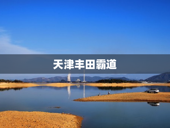 天津丰田霸道