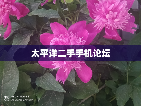 太平洋二手手机论坛
