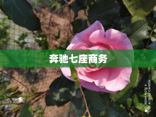 奔驰七座商务