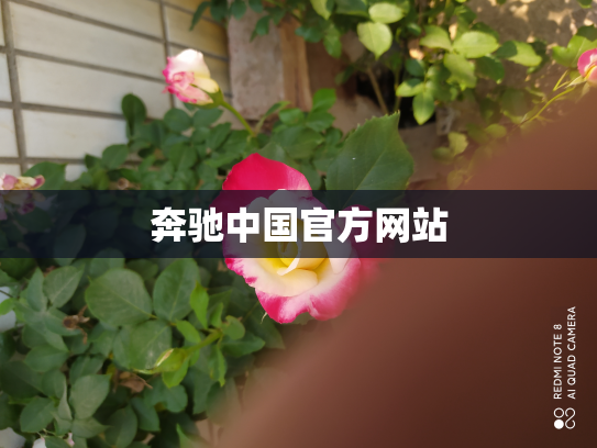 奔驰中国官方网站