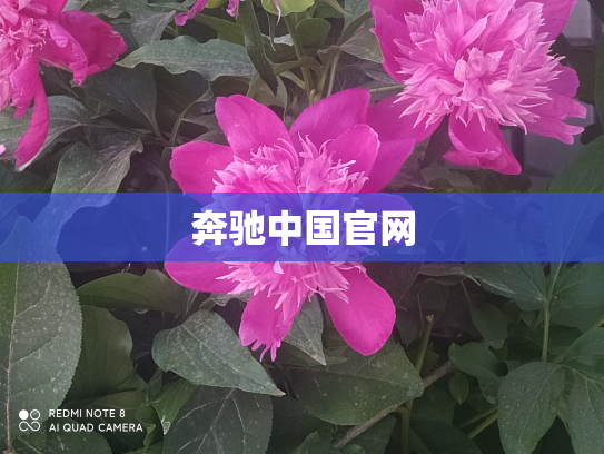 奔驰中国官网