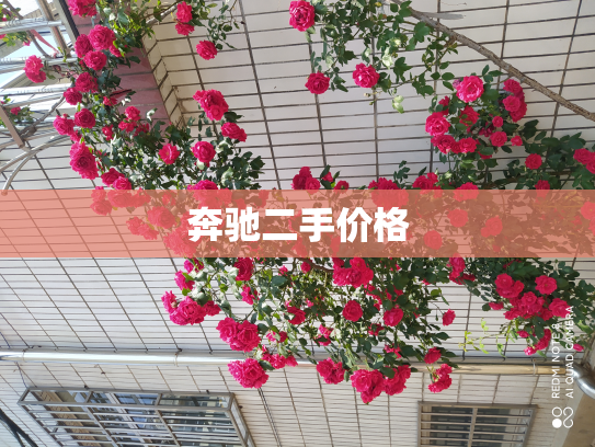 奔驰二手价格
