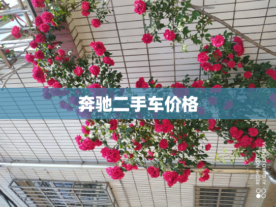 奔驰二手车价格