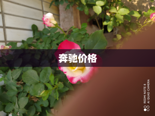奔驰价格