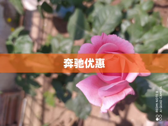 奔驰优惠