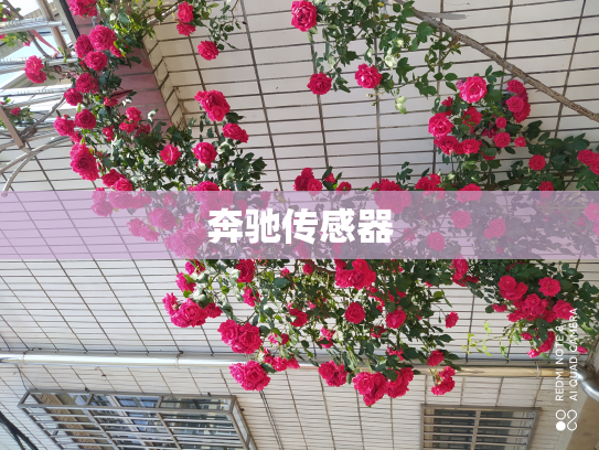 奔驰传感器