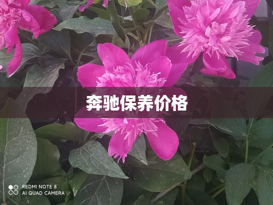 奔驰保养价格