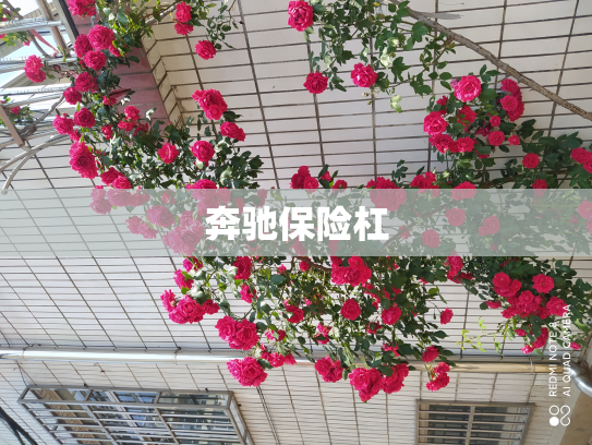 奔驰保险杠