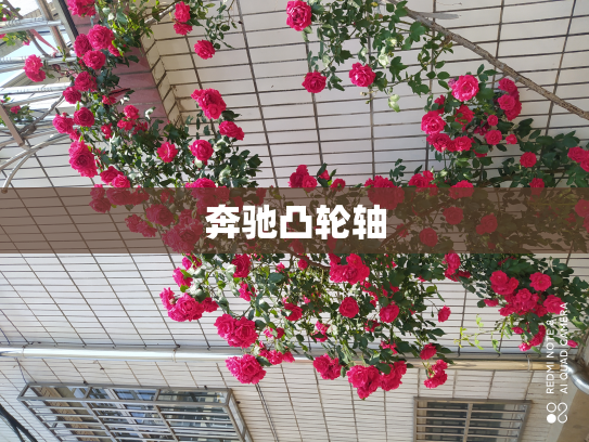 奔驰凸轮轴